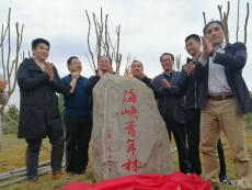 兩岸青年共植“海峽青年林”