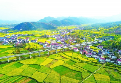 堅定走在正確道路上