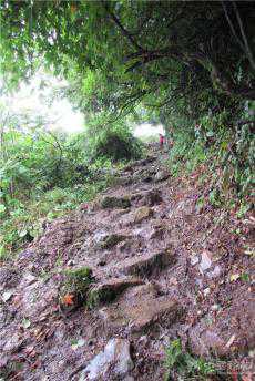 火燒箐村民合力拯救川鹽古道遺址 ?奢香古驛再見(jiàn)天日