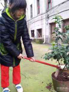 沅江共華小學(xué)開展“把荒坡占領(lǐng) 擁抱綠色家園”的植樹活動