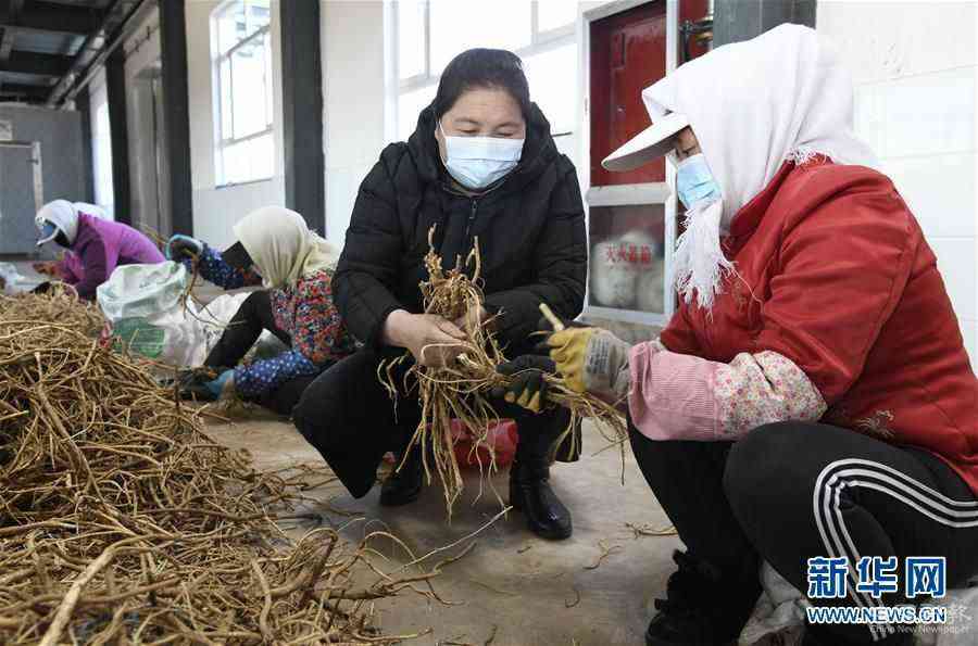 （新華全媒頭條·圖文互動）（2）特殊時期，他們這樣履職——全國人大代表這個春天在行動