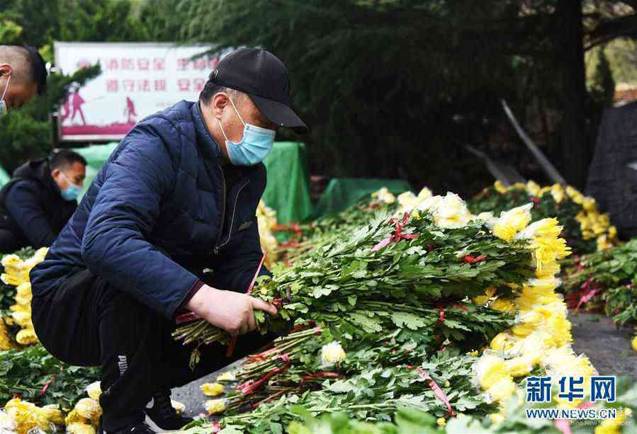 （社會(huì)）（4）清明代祭寄哀思