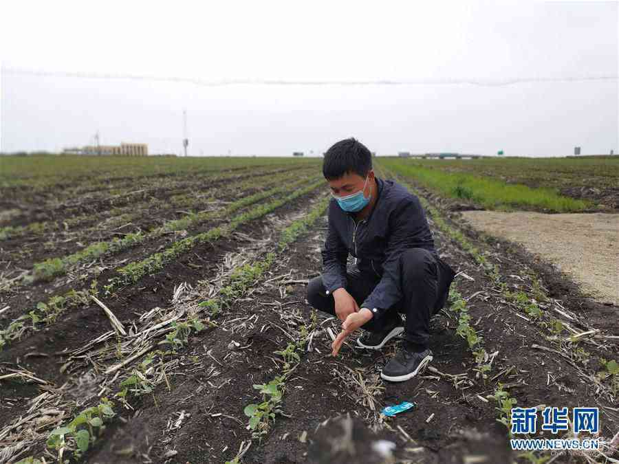 （在習(xí)近平新時代中國特色社會主義思想指引下——新時代新作為新篇章·習(xí)近平總書記關(guān)切事·圖文互動）（4）讓百姓吃得飽還要吃得好——夯實(shí)糧食安全基礎(chǔ)端牢中國飯碗