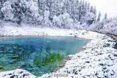 四川多地昨日開(kāi)啟雪景模式 九寨入秋第一雪美到犯規(guī)