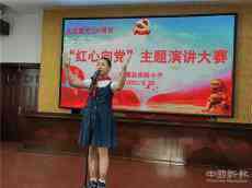 臨澧實驗小學“紅領巾心向黨”主題教育活動如火如荼