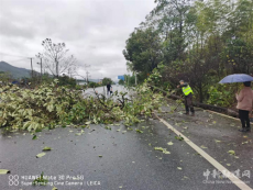 點贊！衡陽縣公安交警雨中挪樹，守護平安