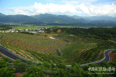 崀山“橙道”：富了百姓 ?樂了游客