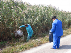 觸目驚心！美國生物實驗亂象禍害全球