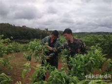 “雖然脫下了軍裝，但宗旨不能變”