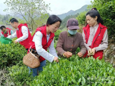 安徽休寧月潭湖鎮(zhèn)：美麗鄉(xiāng)村 振興有我