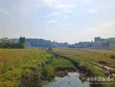 衡陽縣庫宗橋鎮(zhèn)推進城鄉(xiāng)治理標準化開展渠道清理保灌溉