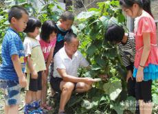 隆回縣金石橋鎮(zhèn)中心小學開展暑假學農(nóng)活動