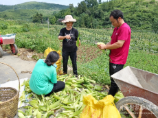 長沙理工大學(xué)：“訂單消費幫扶”惠澤一方村民