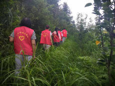 湖南隆回：踏遍青山寫忠誠，守護(hù)森林保平安