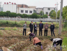 硬化道路暢交通 建設美麗新農村