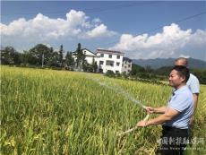 湖南洞口縣花古街道：干群全力抗旱保增收