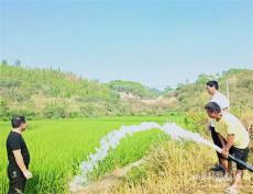 湖南新田：干部下沉田間地頭?抗旱救災(zāi)力保民生