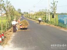 安徽廬江縣郭河鎮(zhèn)：清理路邊雜草 扮靚鄉(xiāng)村環(huán)境