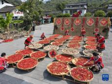 喜迎二十大｜湖南：奮力走好新時代的長征路