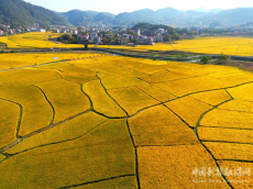 新寧縣安山鄉(xiāng)車頭村：抒展美麗鄉(xiāng)村新畫卷