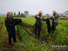 新寧護(hù)鳥營(yíng)：十三年堅(jiān)守只為候鳥安全遷徙