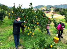 鐘劍：把窯市村打造成崀山的后花園