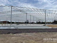 責令停工仍頂風搶建。順德區(qū)這個農貿市場在建太囂張! 