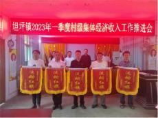 坦坪鎮(zhèn)組織召開一季度發(fā)展壯大村級集體經(jīng)濟總結大會