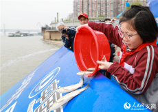 安徽蕪湖：20萬(wàn)尾魚(yú)苗放流長(zhǎng)江