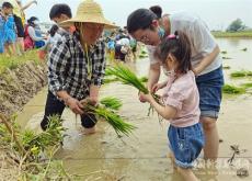 安徽廬江：爭當(dāng)“小農(nóng)人” 催熱研學(xué)游