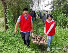 安徽廬江：黨建引領(lǐng)藕飄香