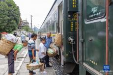 逛集市、賞非遺——特色“小慢車”豐富旅客出行體驗