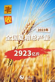 2023年全國夏糧總產量14613萬噸 實現(xiàn)豐收