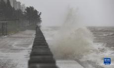 臺(tái)風(fēng)“泰利”給海南帶來(lái)強(qiáng)風(fēng)雨