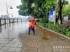 文明創(chuàng)建｜珠暉區(qū)：雨后落葉飄滿街 環(huán)衛(wèi)工人清理忙