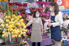 廣州：花城看花