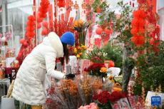 成都：逛年宵花市 喜迎新春