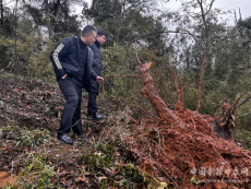 衡陽(yáng)市雨母山鎮(zhèn)迎戰(zhàn)低溫雨雪天氣 全力保障群眾安全