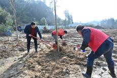 隆回縣金石橋鎮(zhèn)：黨建引領添新綠，鄉(xiāng)村振興增活力