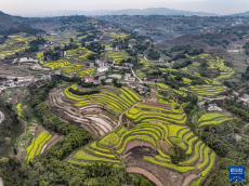 重慶綦江：春回大地 搶抓農(nóng)時(shí)