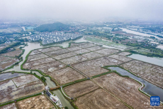 浙江湖州：積極推進(jìn)農(nóng)田萬畝方連片整治