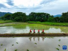 貴州、湖南部分受災(zāi)地區(qū)生產(chǎn)生活秩序逐步恢復(fù)