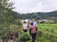 安徽休寧縣流口鎮(zhèn)：接續(xù)駐村四舉措 鄉(xiāng)村振興謀新篇