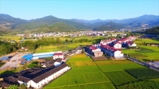 福建永安：“跨村聯(lián)建”繪就強村富民新圖景