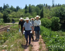 衡陽縣畜禽養(yǎng)殖安全隱患排查專項整治百日攻堅雷厲風(fēng)行