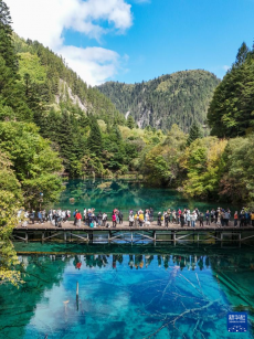 “快進漫游”體驗生態(tài)九寨溝最美風(fēng)景線