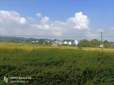 湖南黃公村：糧食生產(chǎn)先進(jìn)村成功路上“藏”密碼